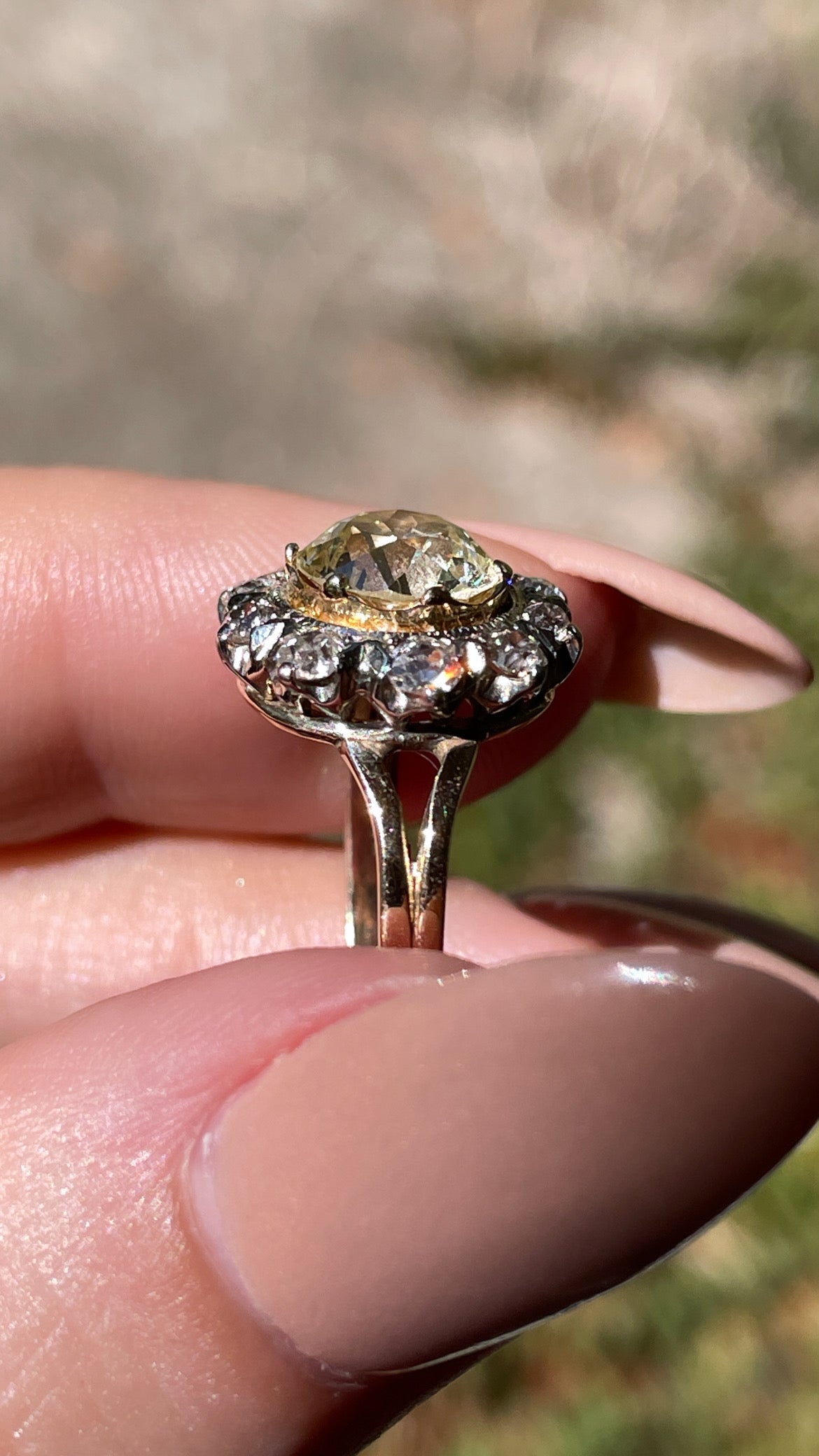 Antique 14K and 18K approx 2.05 ctw Old European cut light yellow and diamond halo ring, size 6.75