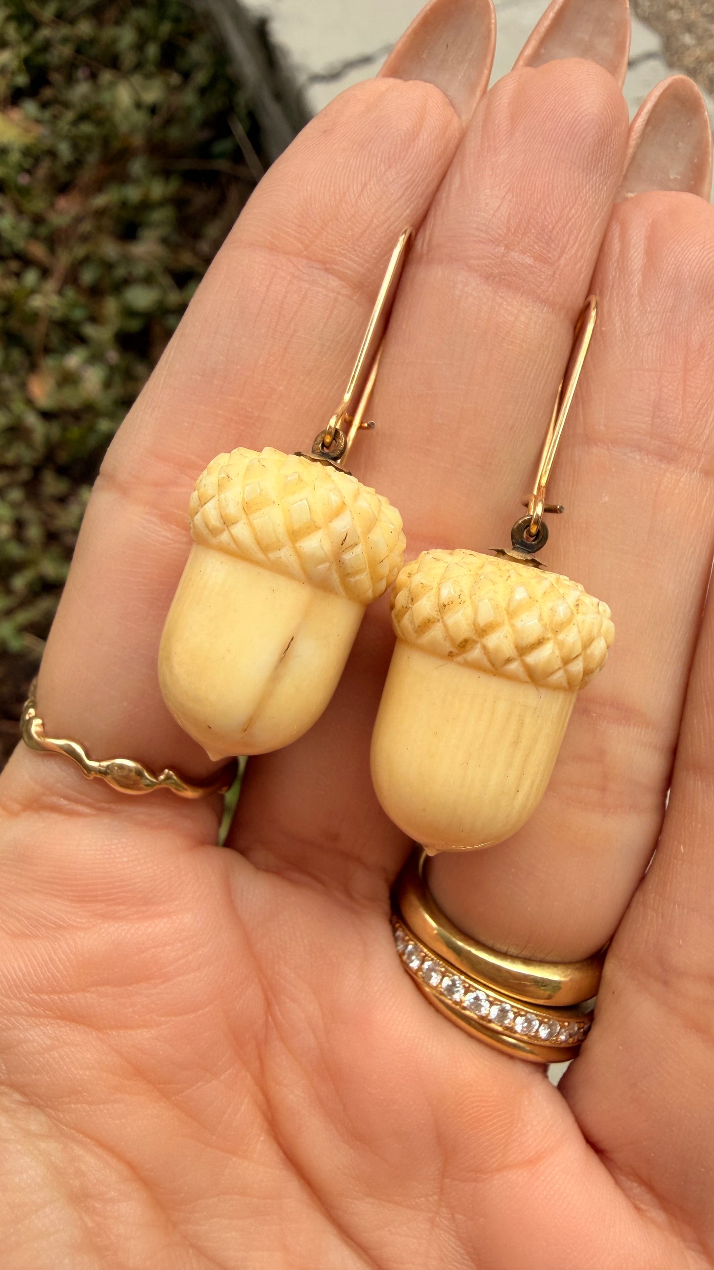 Antique Victorian carved acorns with 14K ear wires